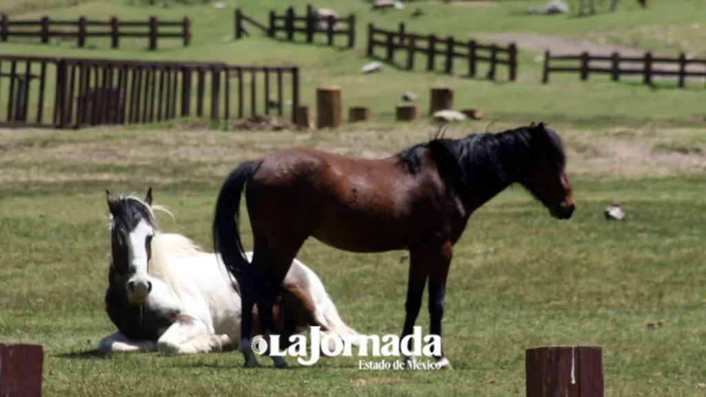 Parque Nacional Zempoala: El reflejo del Cielo en la tierra