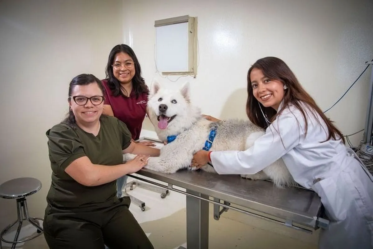 Centro Universitario Amecameca ofrece servicios médicos veterinarios de calidad
