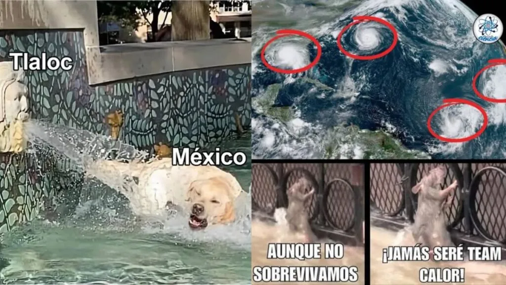 Edomex: Los mejores memes de las inundaciones por lluvias