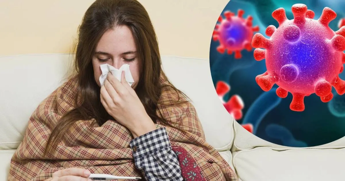 Síntomas de la influenza H3N2: señales de alerta a las que debe prestarse atención