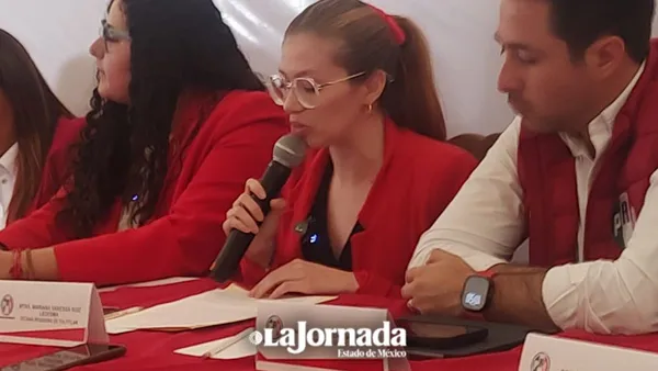 Faltan políticas públicas que orienten a los jóvenes en caso de embarazo en Tultitlán: PRI