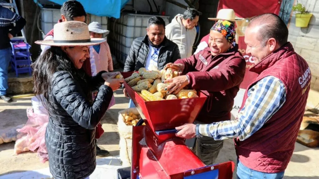 Gobierno federal y estatal refuerzan coordinación para preservar maíz criollo del Edomex
