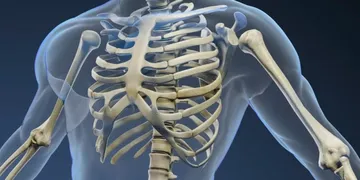¿Cómo proteger tus huesos después de los 30 según la ciencia médica?