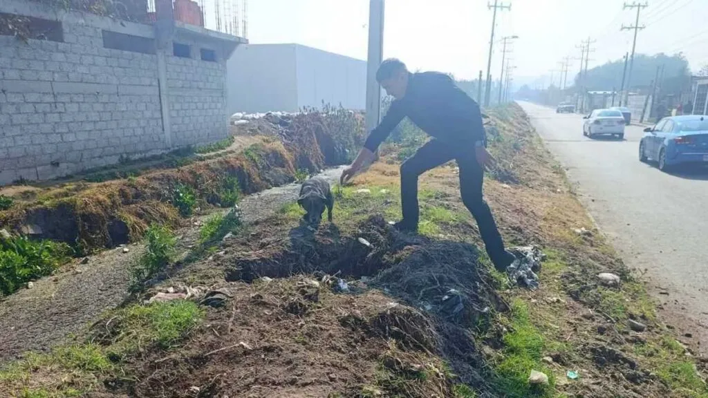 Cachorro que cayó en canal de aguas negras en Tecámac es rescatado