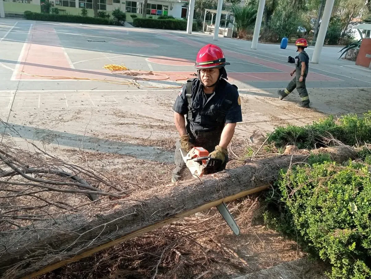 Bomberos de Tlalnepantla retiraron una rama de 7 metros de un pino estaba a punto de desplomarse cerca de una escuela.