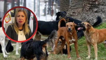 Cuautitlán abrirá su primer Hospital Veterinario
