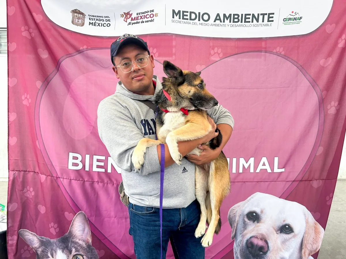 Adopciones en el Nemesio Diez han logrado que 90 perritos encuentren casa