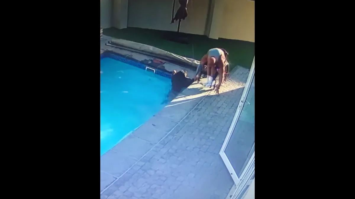 (VIDEO) Hombre en silla de ruedas salva a su perro de ahogarse