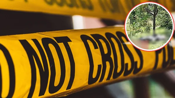 Zinacantepec: Encuentran a adulto mayor sin vida en zona boscosa