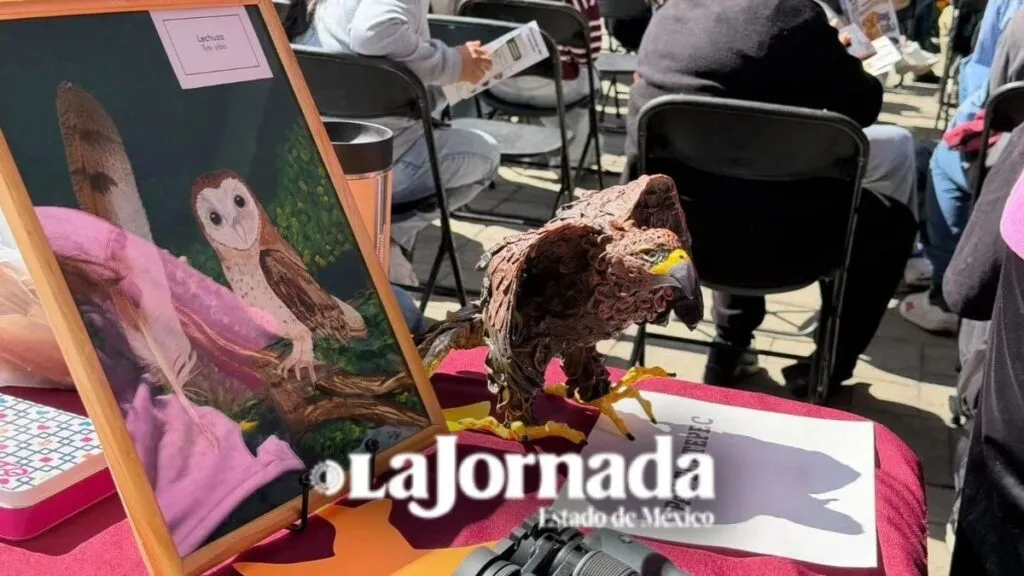 Ecatepec se convierte en la tercera Ciudad de las Aves en México