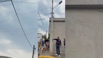 Empresarios crean código QR para reportar luminarias dañadas en tiempo real