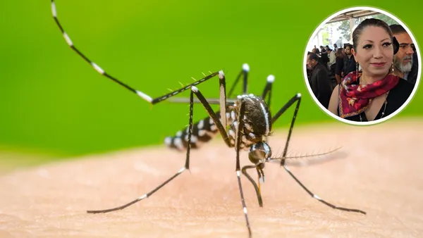 Edomex registra 155 casos de dengue, 65 con signos de alerta o graves