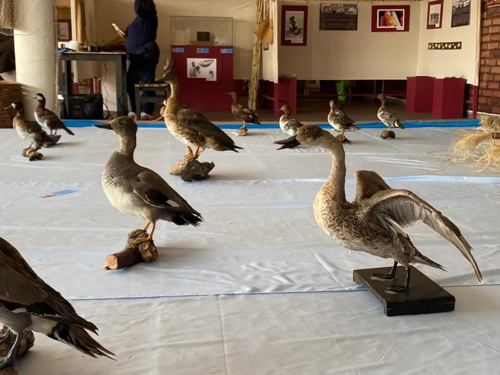 Exposición en Chimalhuacán: Rescatan la memoria lacustre del Lago de Texcoco
