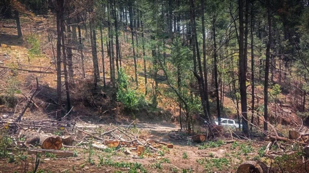 Naucalpan: Realizan videovigilancia para proteger Bosque de agua