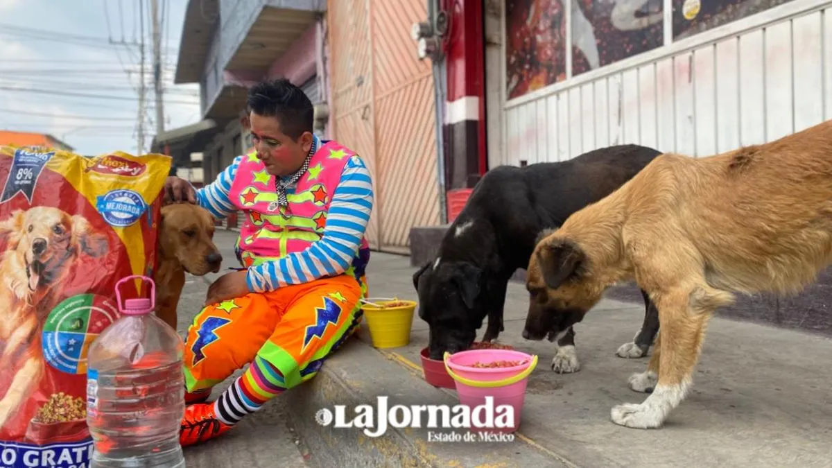 Chabelito, el payaso que alimenta perros de la calle