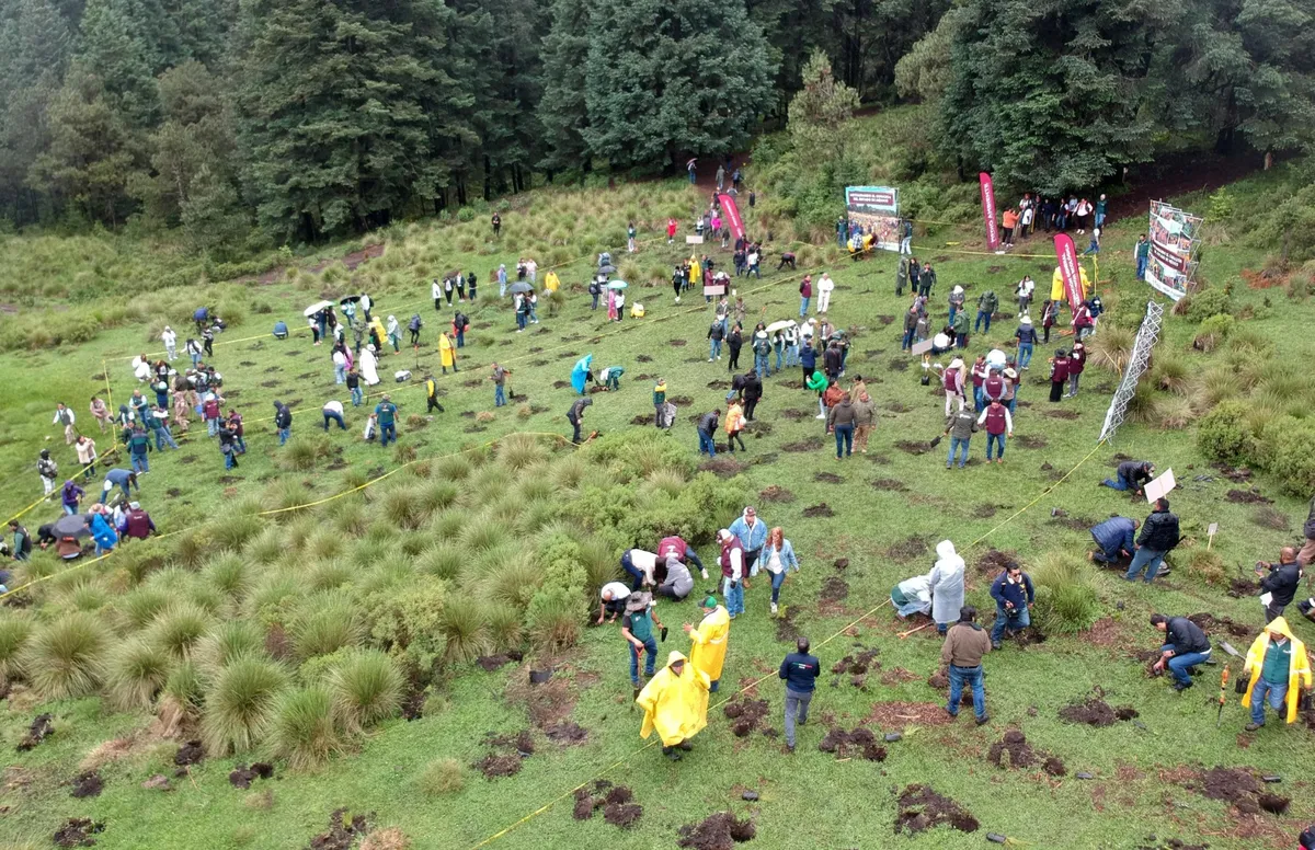 Impulsa Edomex estrategia de reforestación
