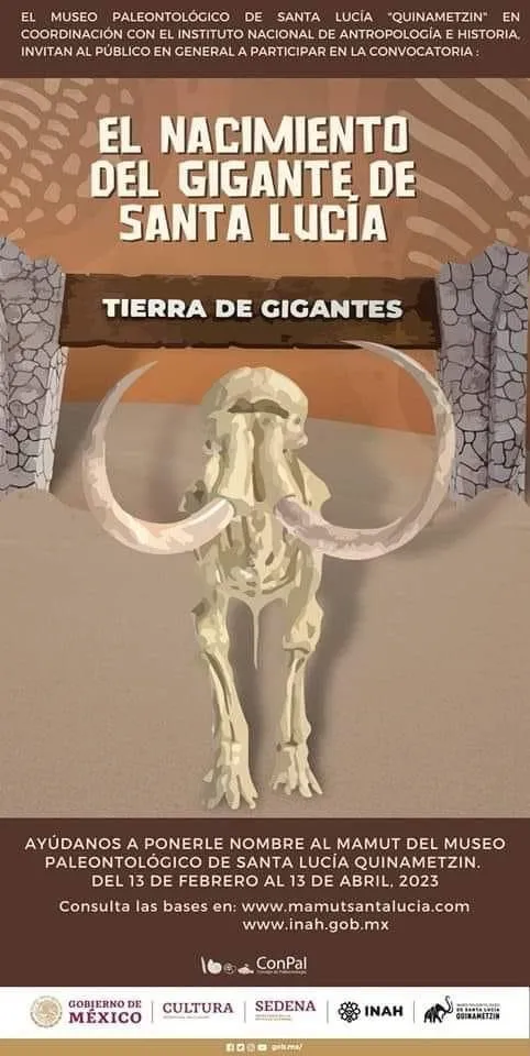 Esqueleto de mamut localizado en el AIFA busca nombre