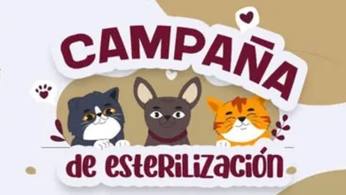 Jocotitlán tendrá campaña de esterilización gratis
