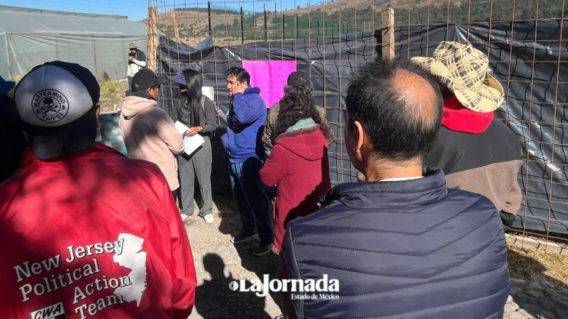 Edomex: Consiguen suspensión provisional de obra en Parque Sierra mediante amparo