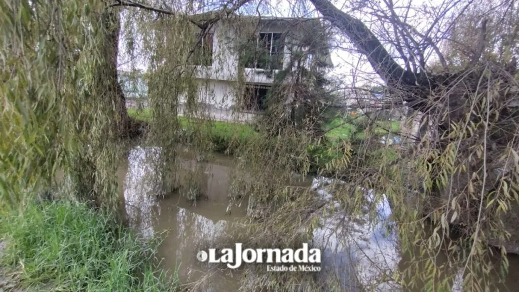 Vecinos de Totoltepec viven con el “agua a las rodillas”