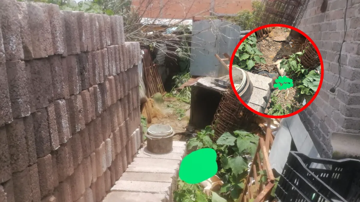 Pareja fue detenida por privar de la vida a dos perros en Texcoco