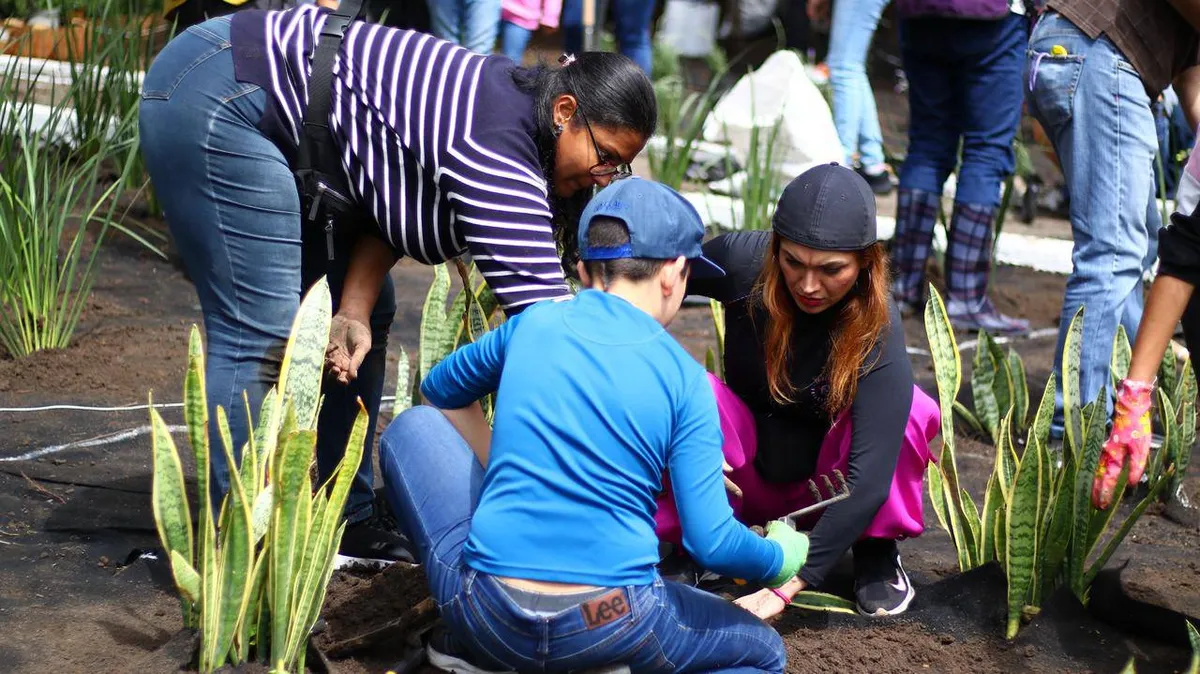 Huixquilucan: Inició la reforestación en bosques cercanos