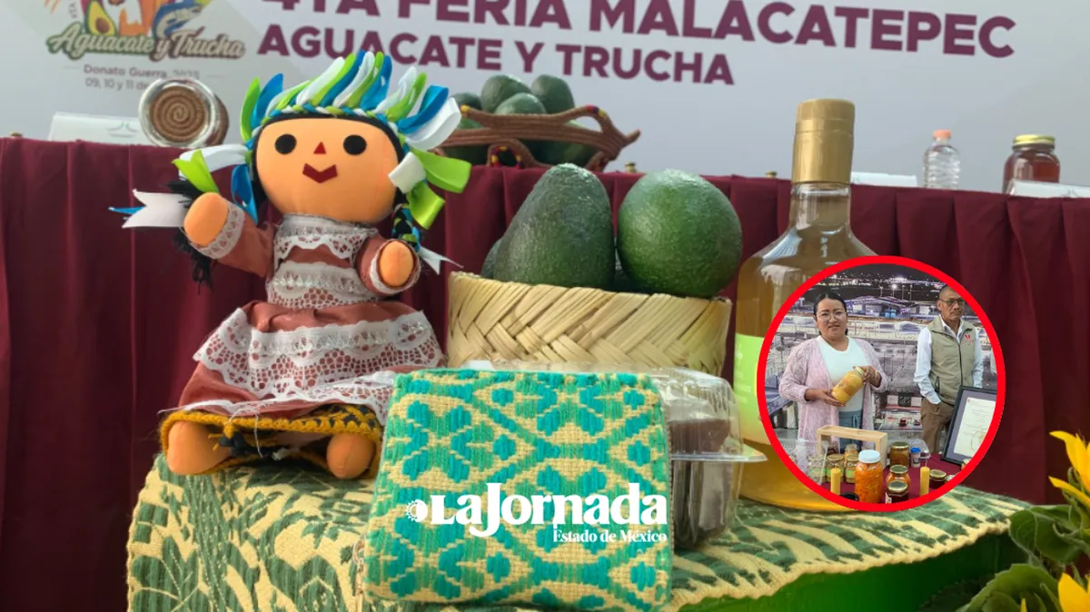Aguacateros de Donato Guerra buscan justicia en el precio y mercados internacionales