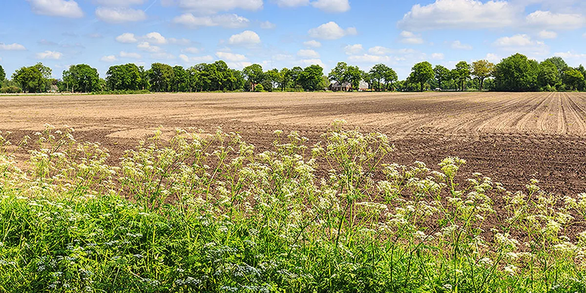 Gobierno tendrá que intervenir ante la disputa de tierras de San Mateo Iztacalco: Aldo Ledesma