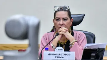 Taddei renuncia a la presidencia del INE