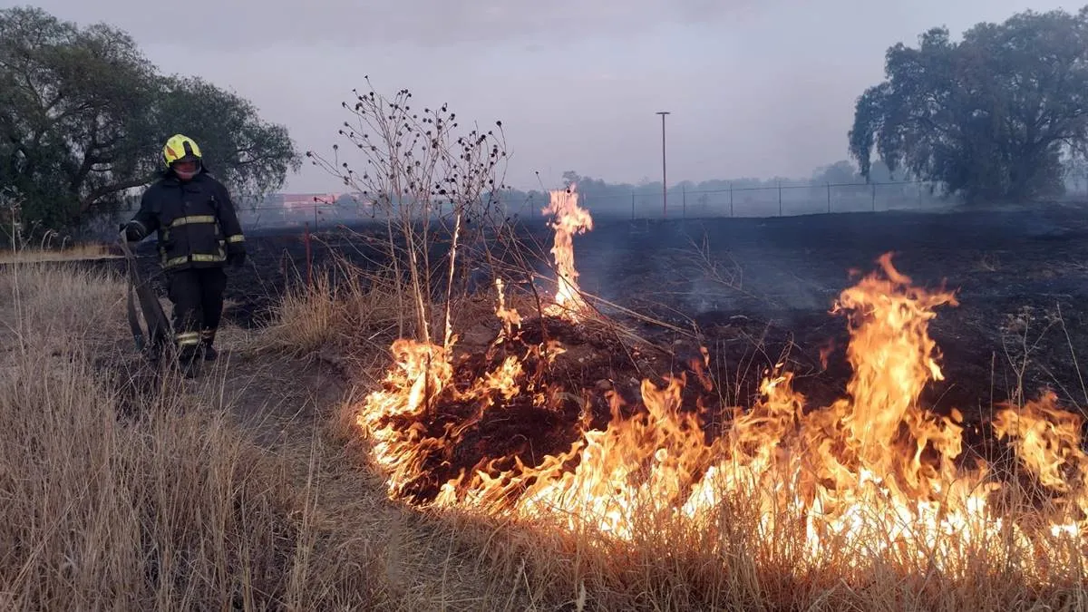 Combaten 12 incendios forestales en Edomex