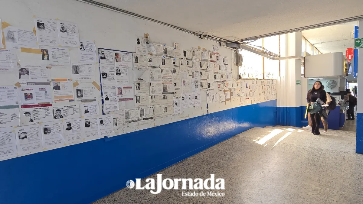 Morena respalda red de búsqueda de personas entre los estados