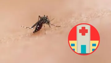 En sur de Edomex 95 casos confirmados de dengue; cinco considerados graves