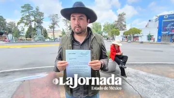 Ambientalistas y vecinos piden transparentar retiro de árboles en Paseo Colón