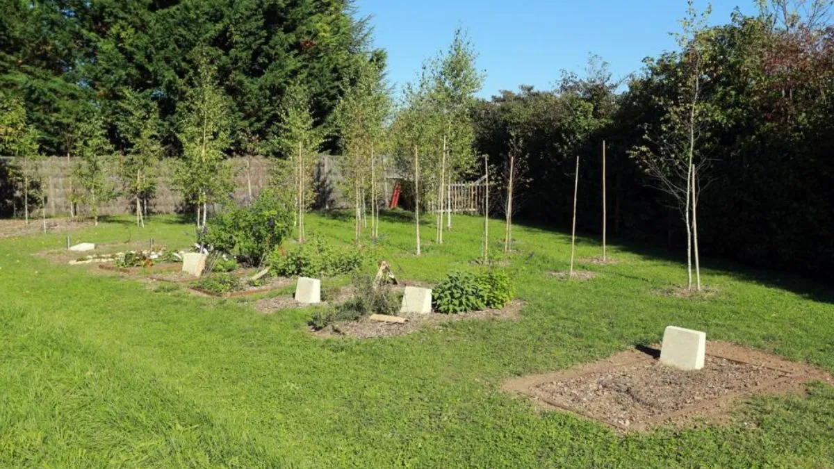 Edomex prevé tener reglas para operar cementerios verdes