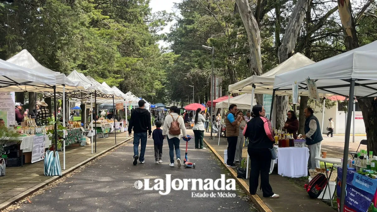 Mercadito Verde impulsa ventas y alternativas locales