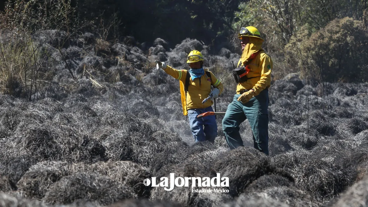 Incendios forestales: Un grave impacto en la salud pública de México