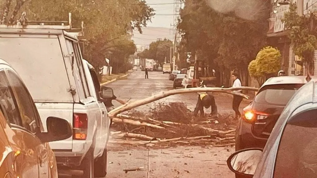 Fuertes vientos generan caos por caída de árboles en el Valle de México