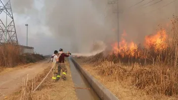Maleza seca representa alto riesgo de incendios