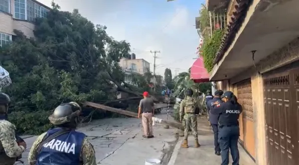Elementos de Protección Civil y Bomberos de Ecatepec acudieron al lugar para retirar el tronco y ramas que bloqueaban la entrada.