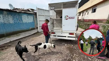 Tras denuncias ciudadanas, autoridades resguardan a  perro en Cuautitlán Izcalli