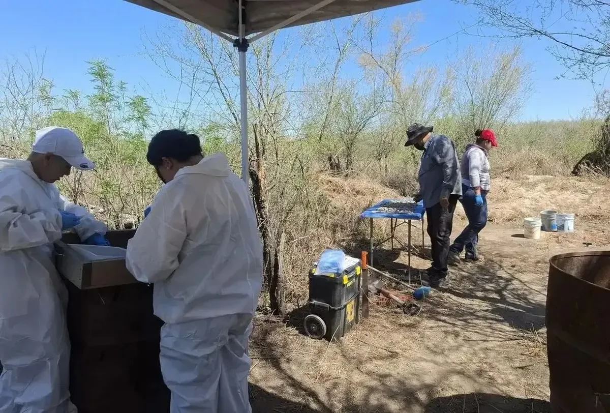 La misma corresponde a una obra negra de la sucursal de una empresa de funerales.
