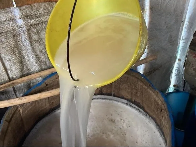 Innovan con pulque el norte del Edomex
