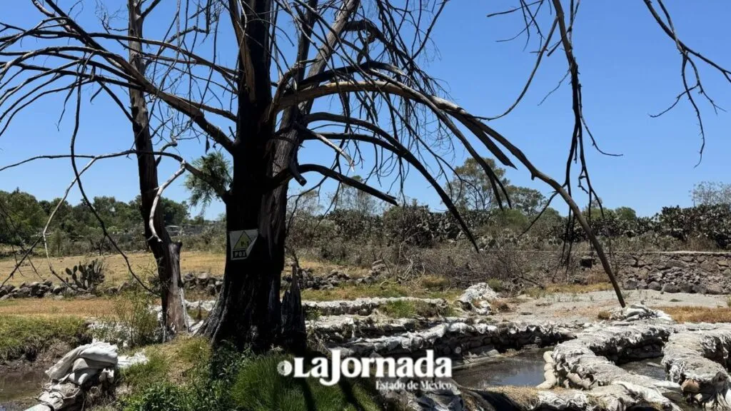 Persiste carencia de agua en Mexicaltongo al seguir contaminación de manantial