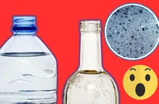 Las botellas de vidrio, consideradas más ecológicas, podrían contener hasta 50 veces más microplásticos que las de plástico.