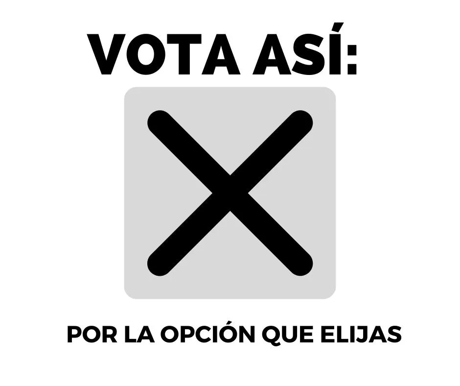 ¿Cuál es la forma correcta de votar?