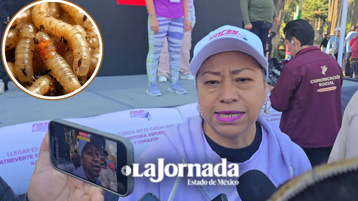 Edomex acumula 190 casos de gusano barrenador; hay 3 fuera de la región sur