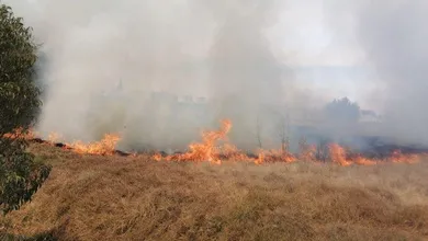 Los servicios de emergencia acudieron al lugar tras el reporte de los vecinos, pero al llegar solo pudieron confirmar su fallecimiento.