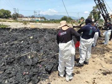 Lirios Buscadores exigen que la desaparición de sus hijos sea atendida como emergencia