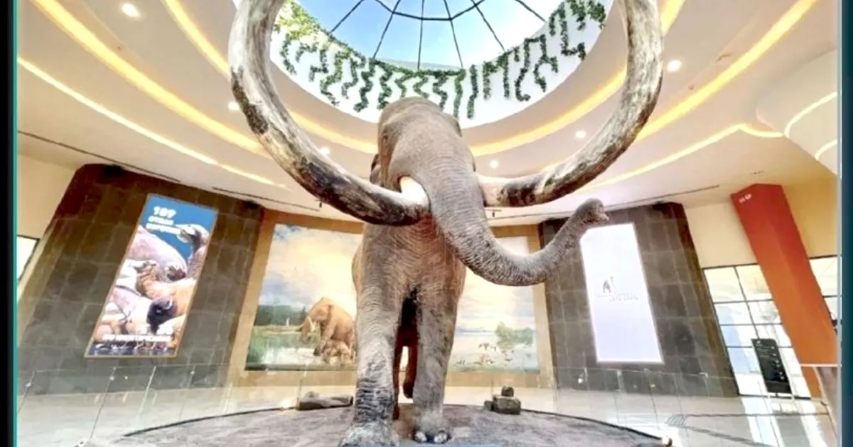 Edomex: Estos son los museos GRATIS que puedes visitar en Semana Santa en el AIFA