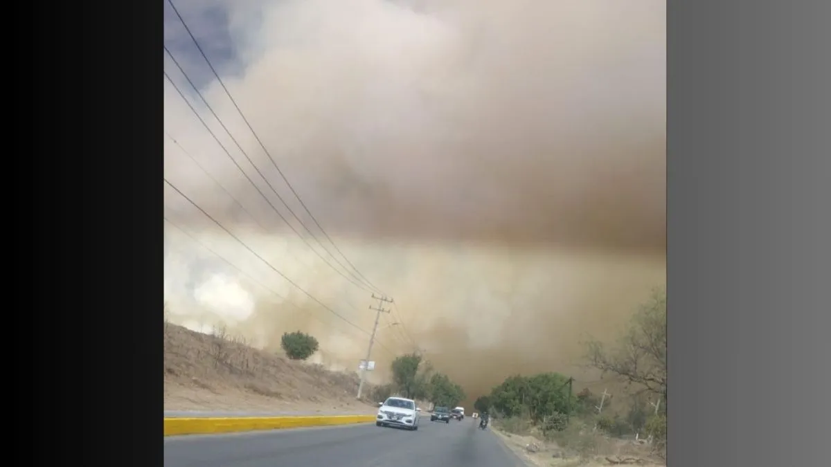 Se registra incendio al interior de la Laguna de Zumpango